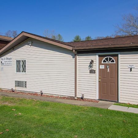 Stay In Ohiopyle Near Everything Including The Trail, Ohiopyle Pa Farmington Zewnętrze zdjęcie