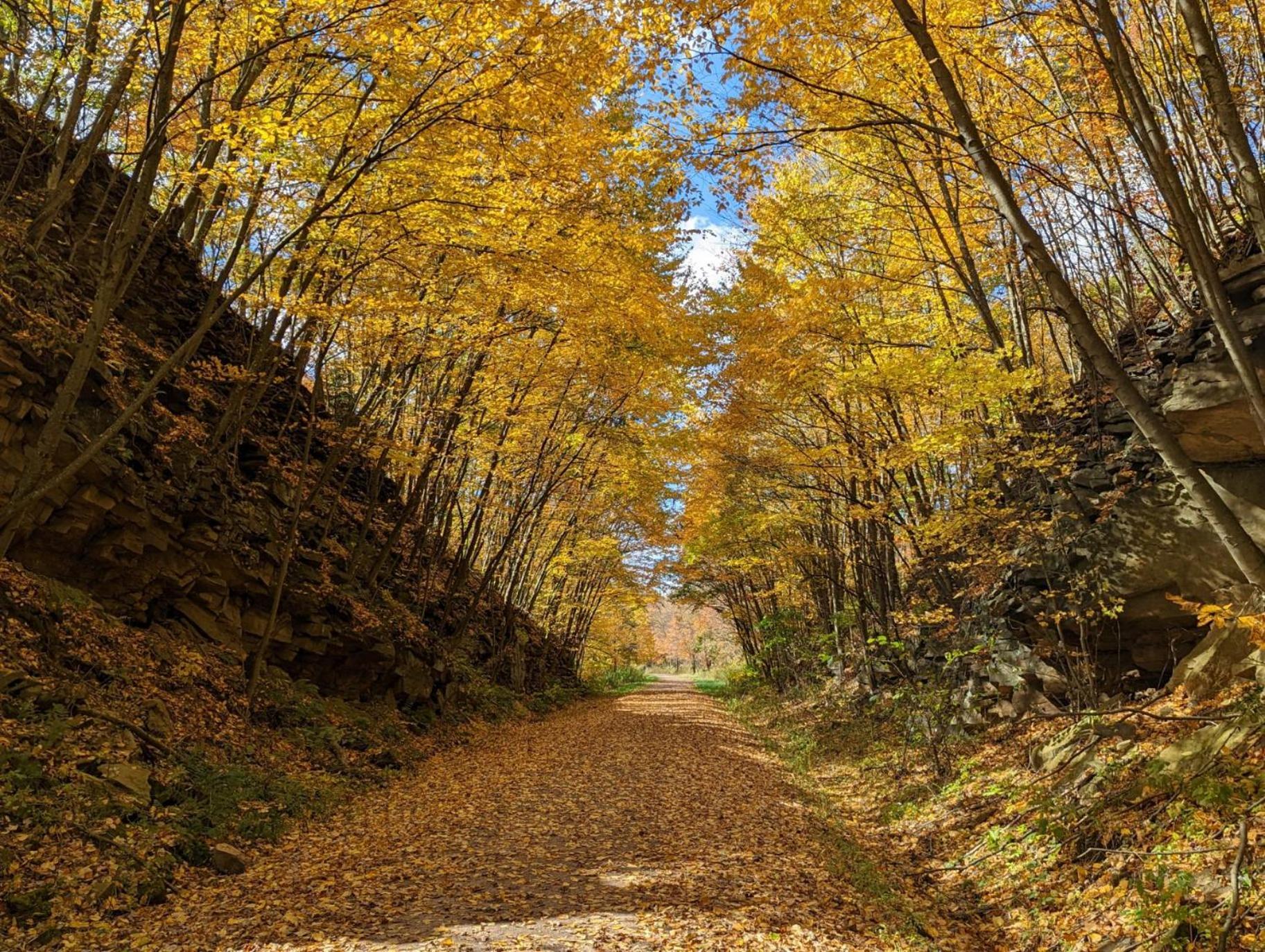 Stay In Ohiopyle Near Everything Including The Trail, Ohiopyle Pa Farmington Zewnętrze zdjęcie